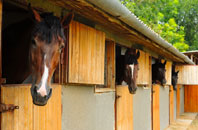 free Capel Curig stable construction quotes